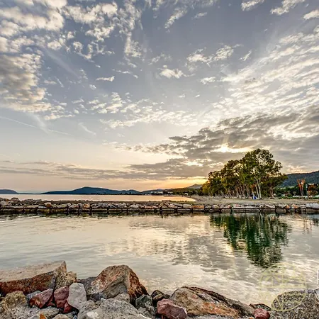 Villa Beachfront Armonia In Porto Hydra By Goutos